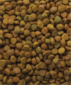 VERSELE-LAGA Versele Laga Classic Variety - Kattenvoer -10 Kg -Katten Hondenbenodigdheden Winkel 1002x1200