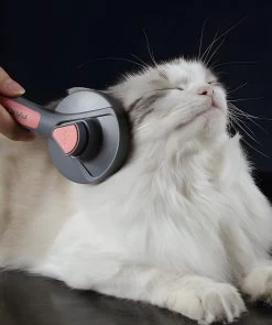 Pakeway T9 - Kattenborstel - Zelfreinigende Kattenkam - Groen - Massageborstel - 19,3 Cm 23 Pakeway T9 - Kattenborstel - Zelfreinigende Kattenkam - Groen - Massageborstel - 19,3 Cm -Katten Hondenbenodigdheden Winkel 1005x1200 1