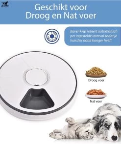 PetFriends Automatische Voerbak Voor Hond En Kat - Incl. Batterijen - Voerautomaat Met 6 Compartimenten - 24 Uurs Timer - Elektrische Voederbak -Katten Hondenbenodigdheden Winkel 1005x1200