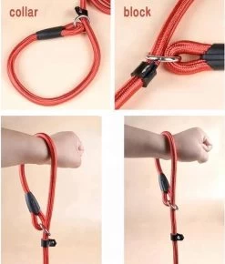 LOUZIR Cesar Millan Sliplijn Met Stop - Hondenriem - Rood - 130 Cm -Katten Hondenbenodigdheden Winkel 1023x1200 1