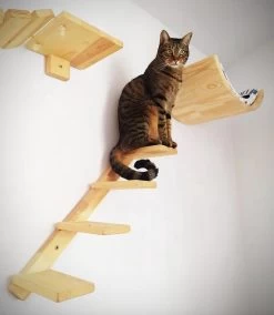 Kattentrap Hout - Linksonder Naar Rechtsboven - Handgemaakte Kattenladder - Katten Klimmuur Klimwand -Katten Hondenbenodigdheden Winkel 1045x1200 2