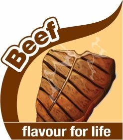 Nylabone Flexi Voor Honden Puppy Teething X Bone Beef Tot 11 Kg -Katten Hondenbenodigdheden Winkel 1048x1200