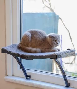 Hobipets - Kattenmand Raam - 5 Zuignappen - Hangmat Kat Raam 10 Hobipets - Kattenmand Raam - 5 Zuignappen - Hangmat Kat Raam -Katten Hondenbenodigdheden Winkel 1049x1200 2