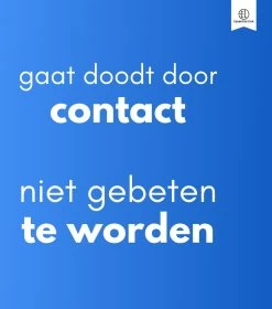 Essential Link Teken- En Vlooienband - Vlooienband Kat – Anti Vlooien – Vlooienmiddel - Tekenband - Diervriendelijk -Katten Hondenbenodigdheden Winkel 1058x1200 1