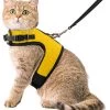 Kattentuigje Met Leiband Riem Kattenharnas Geel Maat M Kat & Kitten - Dieren Kattenriem - Cat Leash - Halsomvang 20 Tot 26cm - Borstomvang 30 Tot 34cm - Zootic® -Katten Hondenbenodigdheden Winkel 1065x1200 2