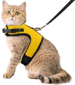 Kattentuigje Met Leiband Riem Kattenharnas Geel Maat M Kat & Kitten - Dieren Kattenriem - Cat Leash - Halsomvang 20 Tot 26cm - Borstomvang 30 Tot 34cm - Zootic®