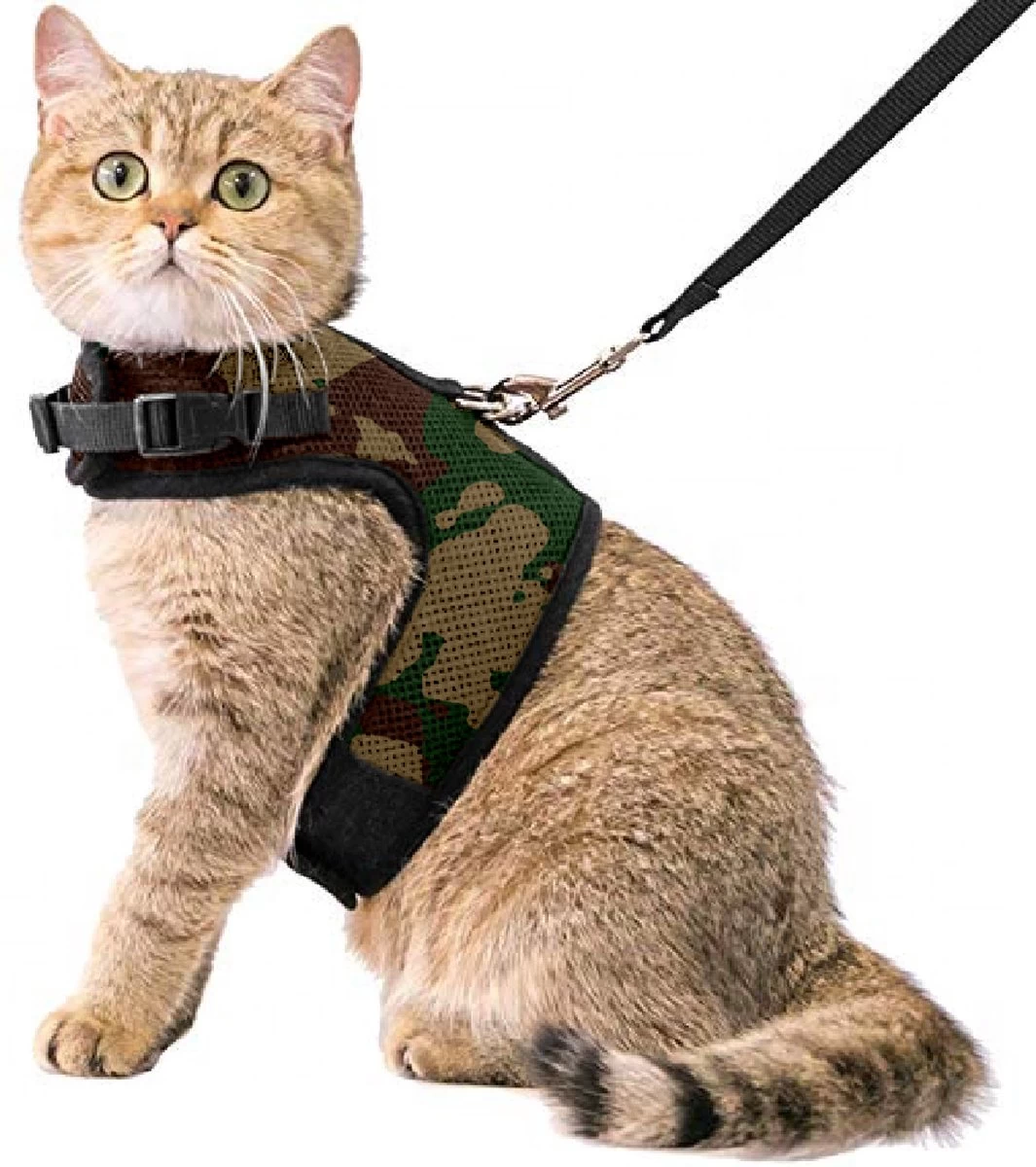 Kattentuigje Met Leiband Riem Kattenharnas Camouflage Maat M Kat & Kitten - Dieren Kattenriem - Cat Leash - Halsomvang 20 Tot 26cm - Borstomvang 30 Tot 34cm - Zootic® 3 Kattentuigje Met Leiband Riem Kattenharnas Camouflage Maat M Kat & Kitten - Dieren Kattenriem - Cat Leash - Halsomvang 20 Tot 26cm - Borstomvang 30 Tot 34cm - Zootic®