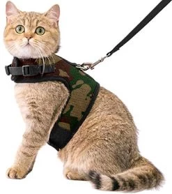 Kattentuigje Met Leiband Riem Kattenharnas Camouflage Maat L Kat & Kitten - Dieren Kattenriem - Cat Leash - Halsomvang 24 Tot 33cm - Borstomvang 36 Tot 41cm - Zootic®