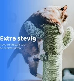 ACE Pets Reflecterende Kattenhalsband Met Veiligheidssluiting – Halsband Kat & Kitten - Met Adreskoker - Kittenhalsband & Kattenbandje Met Belletje - Zwart -Katten Hondenbenodigdheden Winkel 1099x1200