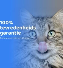 ACE Pets Ergonomische Voerbak Kat - Kattenvoerbakjes - Drinkbak Kat - Kat Voerbak 22 ACE Pets Ergonomische Voerbak Kat - Kattenvoerbakjes - Drinkbak Kat - Kat Voerbak -Katten Hondenbenodigdheden Winkel 1100x1200