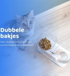 ACE Pets Ergonomische Voerbak Kat - Kattenvoerbakjes - Drinkbak Kat - Kat Voerbak 19 ACE Pets Ergonomische Voerbak Kat - Kattenvoerbakjes - Drinkbak Kat - Kat Voerbak -Katten Hondenbenodigdheden Winkel 1104x1200 1