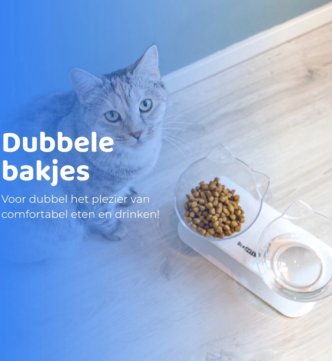 ACE Pets Ergonomische Voerbak Kat - Kattenvoerbakjes - Drinkbak Kat - Kat Voerbak 8 ACE Pets Ergonomische Voerbak Kat - Kattenvoerbakjes - Drinkbak Kat - Kat Voerbak - Afbeelding 6