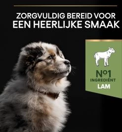 Pro Plan Medium Puppy Sensitive Digestion - Honden Droogvoer - Lam - 4 X 3 Kg -Katten Hondenbenodigdheden Winkel 1109x1200