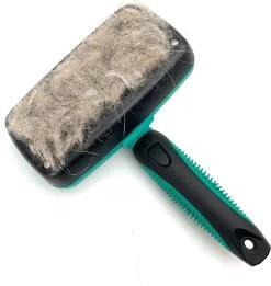 ElegaPet Hondenborstel Groen - Hondenhaar Verwijderen - Kat En Hondenkam - Slickerborstel Hond En Kat - Groomer - Ondervacht Kam Hond - Borstel Hond - Hondenborstel Langharig En Kortharig - Slickerborstel - Anti Klit/Knopen/Huidschilfers -Katten Hondenbenodigdheden Winkel 1135x1200 1