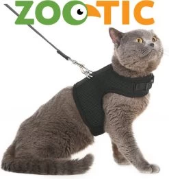 Kattentuigje Met Leiband Riem Kattenharnas Paars Maat M Kat & Kitten - Dieren Kattenriem - Cat Leash - Halsomvang 20 Tot 26cm - Borstomvang 30 Tot 34cm - Zootic® 19 Kattentuigje Met Leiband Riem Kattenharnas Paars Maat M Kat & Kitten - Dieren Kattenriem - Cat Leash - Halsomvang 20 Tot 26cm - Borstomvang 30 Tot 34cm - Zootic® -Katten Hondenbenodigdheden Winkel 1135x1200 2