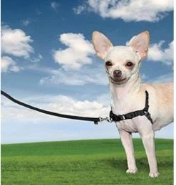 PetSafe Easy Walk® - Hondentuigje - Zwart - M - 51-71 Cm -Katten Hondenbenodigdheden Winkel 1138x1200 1