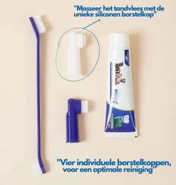 Hond En Kat Tandenborstel Verzorgingsset - Inclusief Tandpasta Met Beefsmaak - Vier Unieke Reinigingsborstels - Fluoride Vrij -Katten Hondenbenodigdheden Winkel 1142x1200 3