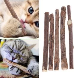Matatabi Kauwstaafjes Voor Katten - 5x Matabi Stokjes - Kattenspeelgoed - 100% Natuurlijke Sticks - Plantaardig - Silver Vine Kauwstaven Voor Kittens - Kattenkruid Effect - Gebitsverzorging - 5 Stuks Vardaan Kauwstaven Voor Katten - XS - 11 Cm -Katten Hondenbenodigdheden Winkel 1143x1200 5