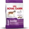 Royal Canin Giant Junior 15 KG -Katten Hondenbenodigdheden Winkel 1145x1200 2