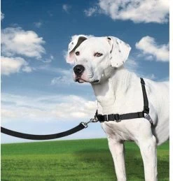 Petsafe Easy Walk® Deluxe Harness - Hondentuigje - Blauw - M - 1,8 M -Katten Hondenbenodigdheden Winkel 1145x1200