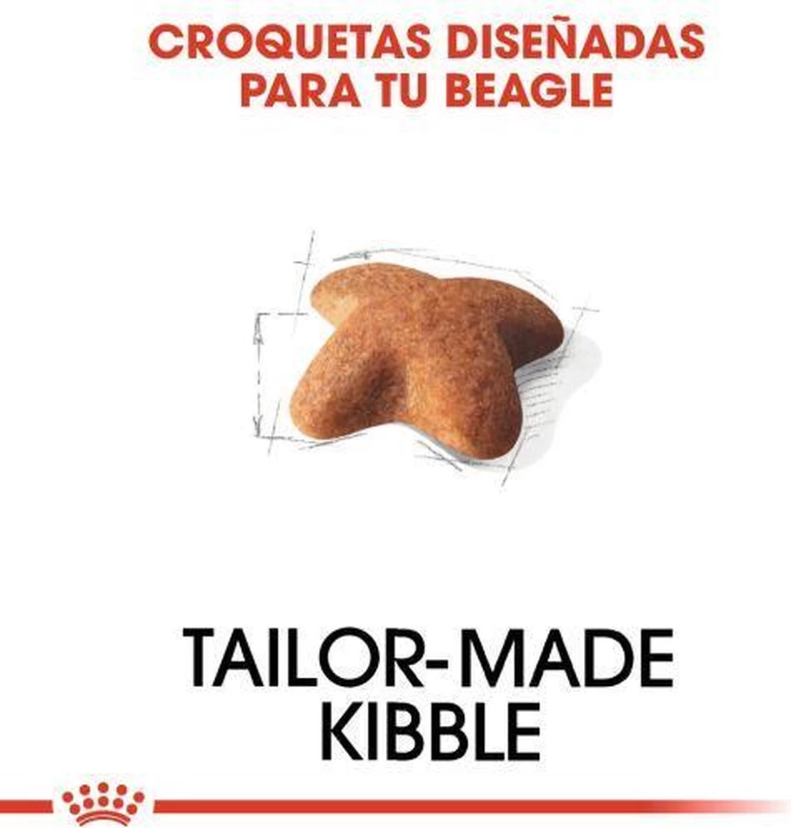 Royal Canin Beagle Adult - Hondenvoer - 12 Kg 6 Royal Canin Beagle Adult - Hondenvoer - 12 Kg - Afbeelding 4