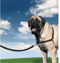 PetSafe Easy Walk® - Hondentuigje - Zwart - M - 51-71 Cm -Katten Hondenbenodigdheden Winkel 1152x1200 4