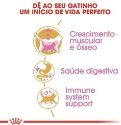 Royal Canin British Shorthair Kitten - 2 Kg -Katten Hondenbenodigdheden Winkel 1156x1200 8