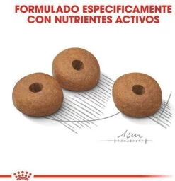 Royal Canin Mini Light 8 KG -Katten Hondenbenodigdheden Winkel 1158x1200 1