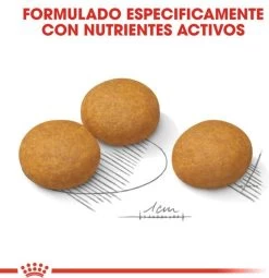 Royal Canin Dermacomfort Maxi - Hondenvoer - 12 Kg -Katten Hondenbenodigdheden Winkel 1161x1200 2