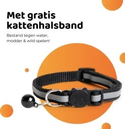 ACE Pets Ergonomische Voerbak Kat - Kattenvoerbakjes - Drinkbak Kat - Kat Voerbak 23 ACE Pets Ergonomische Voerbak Kat - Kattenvoerbakjes - Drinkbak Kat - Kat Voerbak -Katten Hondenbenodigdheden Winkel 1161x1200 3