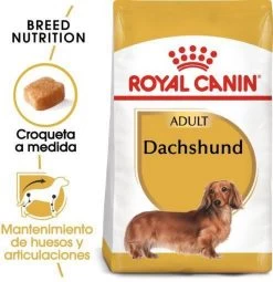 Royal Canin Dachshund/Teckel Adult 7.5 KG -Katten Hondenbenodigdheden Winkel 1162x1200 1
