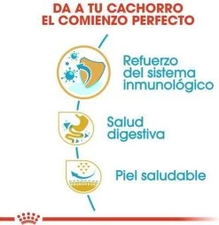 Royal Canin French Bulldog Junior 3 KG -Katten Hondenbenodigdheden Winkel 1168x1200