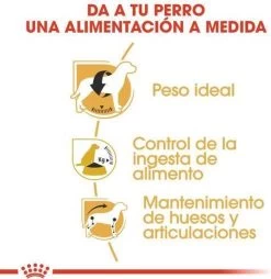 Royal Canin Beagle Adult - Hondenvoer - 12 Kg 13 Royal Canin Beagle Adult - Hondenvoer - 12 Kg -Katten Hondenbenodigdheden Winkel 1168x1200 6