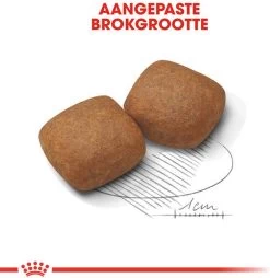 Royal Canin Giant Junior 15 KG 25 Royal Canin Giant Junior 15 KG -Katten Hondenbenodigdheden Winkel 1169x1200 3