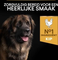 Pro Plan Everyday Nutrition Large Robust Adult - Honden Droogvoer - Kip - 14 Kg -Katten Hondenbenodigdheden Winkel 1171x1200 1