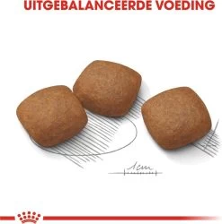 Royal Canin Ccn Joint Care Maxi - Hondenvoer - 10 Kg -Katten Hondenbenodigdheden Winkel 1184x1200 3