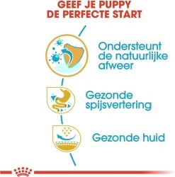 Royal Canin French Bulldog Junior 3 KG -Katten Hondenbenodigdheden Winkel 1185x1200 1