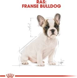 Royal Canin French Bulldog Junior 3 KG -Katten Hondenbenodigdheden Winkel 1185x1200 2