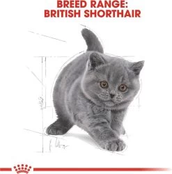 Royal Canin British Shorthair Kitten - 2 Kg -Katten Hondenbenodigdheden Winkel 1185x1200 9