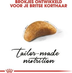 Royal Canin British Shorthair Kitten - 2 Kg -Katten Hondenbenodigdheden Winkel 1186x1200 12