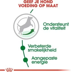 Royal Canin Mini Adult 8+ - Hondenvoer - 800 G -Katten Hondenbenodigdheden Winkel 1186x1200 3