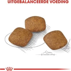 Royal Canin Ccn Relax Care Medium - Hondenvoer - 10 Kg -Katten Hondenbenodigdheden Winkel 1187x1200 6