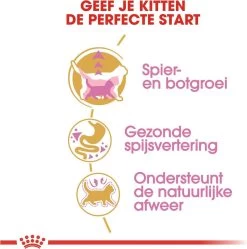 Royal Canin British Shorthair Kitten - 2 Kg -Katten Hondenbenodigdheden Winkel 1188x1200 6