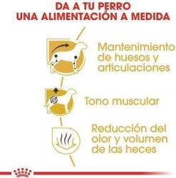 Royal Canin Dachshund/Teckel Adult 7.5 KG -Katten Hondenbenodigdheden Winkel 1190x1200