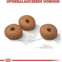 Royal Canin Mini Light 8 KG -Katten Hondenbenodigdheden Winkel 1190x1200 3