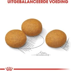 Royal Canin Dermacomfort Maxi - Hondenvoer - 12 Kg -Katten Hondenbenodigdheden Winkel 1196x1200