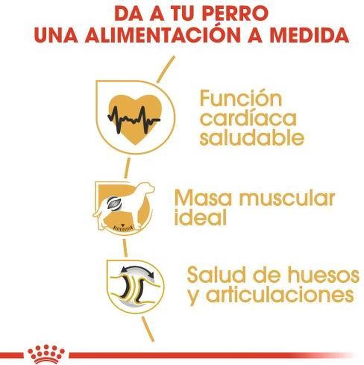 Royal Canin Rottweiler 12 KG 8 Royal Canin Rottweiler 12 KG - Afbeelding 6