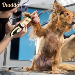 Merkloos Professionele Honden Tondeuse Set - Tondeuse Voor Huisdier Honden En Katten - Hondentrimmer - Hondentondeuse -Katten Hondenbenodigdheden Winkel 1198x1200 11