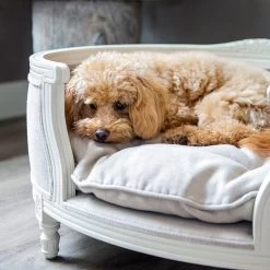 Lord Lou - George Roze Velvet S - Luxe Hondenmand - Luxe Kattenmand - 49x40x31 -Katten Hondenbenodigdheden Winkel 1198x1200 2