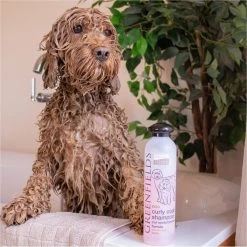 Greenfields Labradoodle Vacht Verzorgingsset - Shampoo En Anti-Klit Spray Voor Langharige Of Krullende Vacht -Katten Hondenbenodigdheden Winkel 1199x1200 4